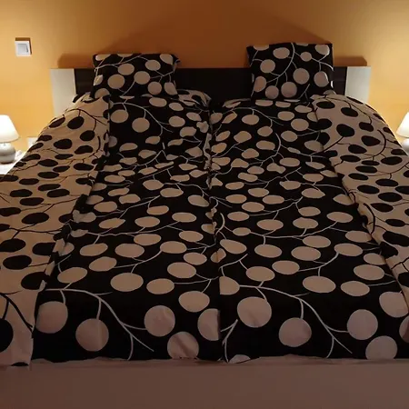 Csalogany Apartmán *