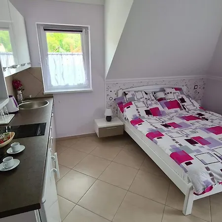 Apartament Csalogany *